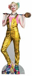 Harley Quinn Gold Jumpsuit Birds of Prey Lifesize Cardboard Cutout and FREE Mini