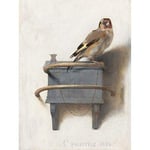 Fine Art Prints Fabritius The Goldfinch Bird Animal Nature Painting Large Wall Art Print Canvas Premium Mural, Grey