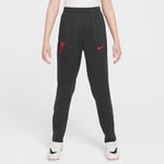 Liverpool Treningsbukse Dri-FIT Strike 3. - Grå/Krom/Rød Barn - Nike, størrelse L: 147-158 cm