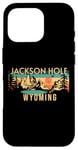 iPhone 16 Pro Jackson Hole Case