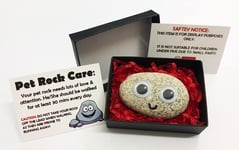 Pet Rock - Novelty Gift Idea - Ideal for Birthday Presents, Wedding Favours, Par