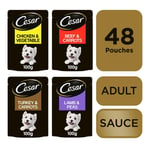 48 X 100g Cesar Luxury Adult Wet Dog Food Pouches Mixed Favourites In Sauce