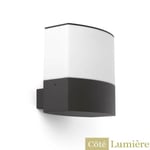 Applique extérieure Faro Datna - Fonte d'aluminium et polycarbonate - Anthracite - Culot E27 - IP44