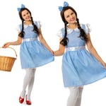 Adult Oz Cute Dorothy Fancy Dress Great Wizard Costume Ladies Womens Female