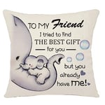 Bacmaxom To My Friend I Tried To Find The Best Gift for You But You Already Have Me Cushion Cover for Friends Funny Friendship Friend Cushion Cover Friend Birthday Graduation (friend-best gift)