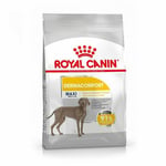 Royal Canin Maxi Adult Dermacomfort Dry Dog Food - 3kg