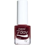 Depend 7day Holiday Selection 70127