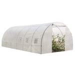 Serre tunnel de jardin 18M² blanche gamme maraîchère CRIMÉE 6x3 M