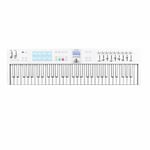 Arturia KeyLab Essential 3 61-Key USB MIDI Keyboard Controller (limited Alpin...