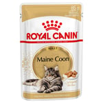 Ekonomipack: Royal Canin våtfoder 96 x 85 g - Breed Maine Coon i sås
