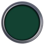 Ronseal Direct To Rust Metal Wood PVC Paint Int Exterior Rural Green Gloss 750ml