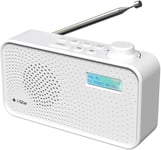 Radio Dab Portable, Radio Dab Plus/Dab, Radio FM, Petite Radio, Radio numérique alimentée par Secteur ou Batterie, Chargement USB, écran LCD Transparent (Blanc)