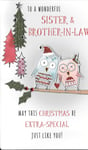 CHRISTMAS CARD TO A WONDERFUL SISTER & BROTHER-IN-LAW - OWLS, 3D, EMBELLISHED