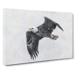 Bald Eagle High In The Sky Painting Modern Art Canvas Wall Art Print Ready to Hang, Framed Picture for Living Room Bedroom Home Office Décor, 20x14 Inch (50x35 cm)