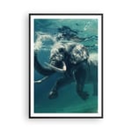 Affiche Poster 70x100cm Tableaux Image Photo éléphant animal eau Wall Art