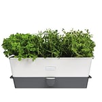 Cole & Mason Burwell Self-Watering Potted Herb Saver, Windowsill Herb Planter Indoor/Herb Box/Indoor Herb Garden, Triple, Suitable for 3 pots (85 mm), Includes 12 x Pads