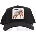 Casquette Goorin Bros  JACKAL