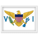 Virgin Islands (U.S.) National Flag Vexillology World Flags Country Region Poster Artwork Framed Wall Art Print A4