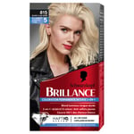 Schwarzkopf - Brillance - Coloration Cheveux Permanente Intense 2 en 1 - Eclat Diamant - Eclaircit jusqu’à 5 tons - Blond Lumineux - Anti-reflets jaunes - Blond polaire, 815