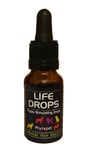 Phytopet Puppy Stimulating Life Drops 10ml Herbal Kick Start Whelping