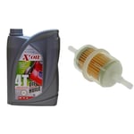 X'OIL - Huile 4T Multigrade 10W40 API SJ/CF - Pour Tondeuse, Tondeuse Autoportée, Tracteur Tondeuse, Motoculteur - 2 Litres & 6046 Filtre essence