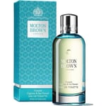 Molton Brown Coastal Cypress & Sea Fennel Eau de Toilette 100ml RRP £85 Free P&P