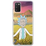 ERT GROUP Coque de téléphone Portable pour Samsung A03S Original et sous Licence Officielle Rick and Morty Motif Rick & Morty 047 adapté à la Forme du téléphone Portable, Coque en TPU