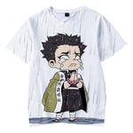 YZJYB Unisexe Anime Demon Slayer Himejima Gyoumei Sweat-Shirt pour Homme Imprimé 3D T-Shirt Mode Doux Confortable Respirant Tee Chemises pour Top,M