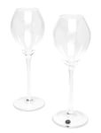 Sagaform Saga Champagne Glass, 2-Pack Nude