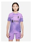 Nike Liverpool Fc Junior 22/23 Home Goalkeeper Short Sleeved Shirt - Purple, Black, Size Xl (14-15 Years)