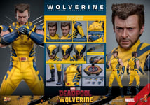 PREORDER MARCH 2025 DEADPOOL 3 MOVIE WOLVERINE DELUXE 1/6 31cm HOT TOYS