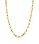 Loop Necklace Gold