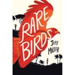 Rare Birds (häftad, eng)