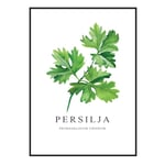 Poster Persilja A4