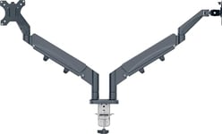 Leitz Ergo - Bras pour Écran PC, Support Double pour 2 Écrans jusqu'à 32", Libère de l'espace sur Votre Bureau, Coloris Gris, 65370089