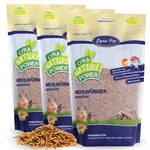 3 kg de vers de farine séchés Lyra Pet®