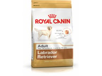 Royal Canin Labrador Retriever Adult, Adult, Labrador Retriever, Maxi (26 - 44 Kg), Fjäderfä, Ris, 12 Kg