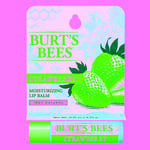 Blister Box Strawberry Lip Balm 0.15 Oz By Burts Bees