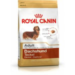 Nourriture Royal Canin Dachshund Adult Adulte Poulet Riz Oiseaux 1,5 Kg