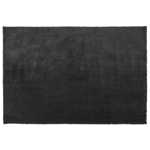 Tapis Épais 200 x 300 cm en Tissu Coton Noir Doux au Toucher pour Chambre et Sa