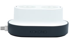 Kokong Polar Black Smart Socket