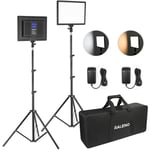 Raleno 2-piece LED video light and 75' stand lighting kit, CRI 95+ photographic lighting with 8000mAh internal battery and LCD displ