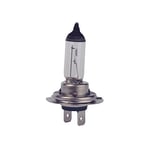 Spotlight - Ampoule H7 iode 12V, Ampoule type H7 PX26D 100W - Ampoule H7 12V krypton - Ampoule blanche - Non homologué pour tous véhicules, réservée aux véhicules agricoles