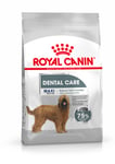 Royal Canin CCN Dental Care Maxi - säästöpakkaus: 2 x 9 kg