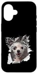 Coque pour iPhone 16 Chien chinois à crête