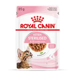 Royal Canin Sterilised Kitten i sås - 96 x 85 g