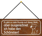 Schatzmix Sign Plaque en métal pour Chien avec Cordon Multicolore 27 x 10 cm