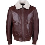 Blouson Redskins  Blouson royal green  homme Ref 54076 marron