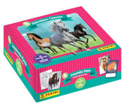 Panini Merveilleux Chevaux Trading Cards Boîte de 24 Pochettes, 005011BOX24F