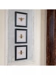 One.World Brookby Bee Wood Framed Wall Art, Set of 3, 38 x 38cm, Black